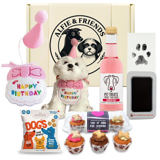 Dog birthday gift set with toys, treats, and a dog in a birthday outfit - Premium Gift Hamper UK