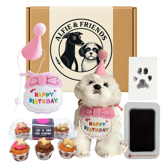 Dog birthday gift set with a dog toy, treat bag, and photo frame in front of an 'Alfie & Friends' branded box.