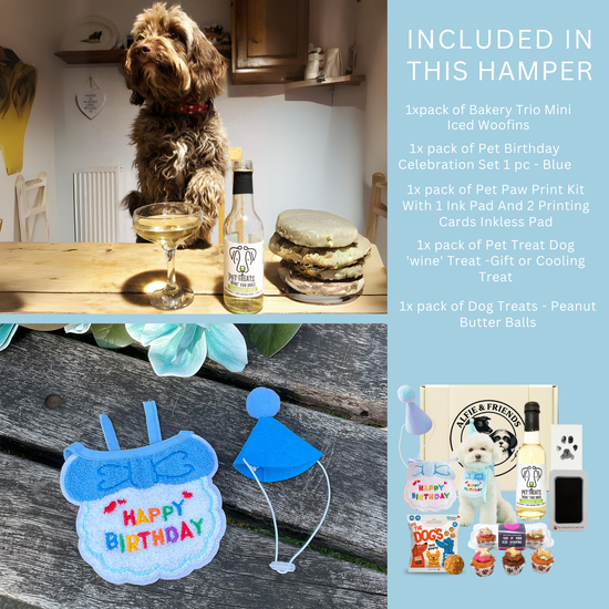 Dog Birthday Treat Hamper for Boys (Blue)