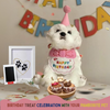 Stuffed dog in a birthday outfit with 'Happy Birthday' text, surrounded by birthday decorations.