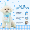 Dog Birthday Hamper Gift Set for Him