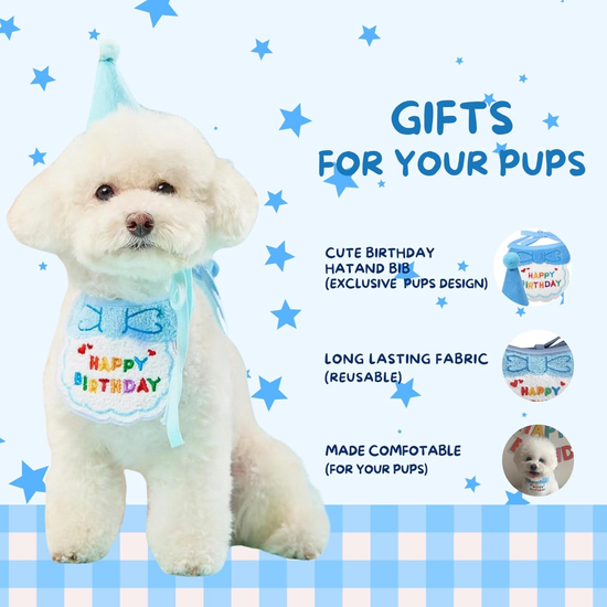 Dog Birthday Hamper Gift Set for Him