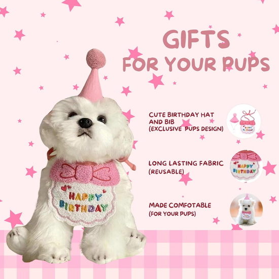 White dog toy with birthday hat and bib on a pink background with text about product features.