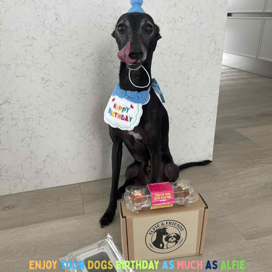 Dog Birthday Hamper Gift Set for Him