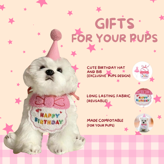 Dog Birthday Treat Hamper for Girls (Pink)