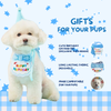 Dog Birthday Treat Hamper for Boys (Blue)