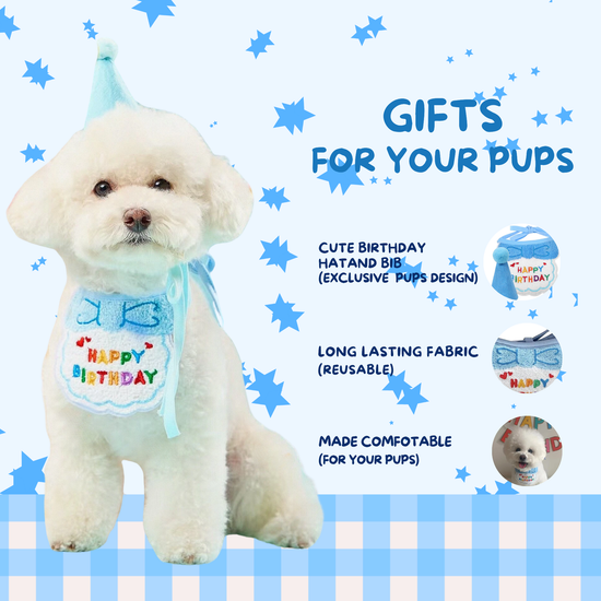 Dog Birthday Treat Hamper for Boys (Blue)