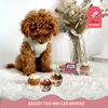 Dog Birthday Treat Hamper for Girls (Pink)