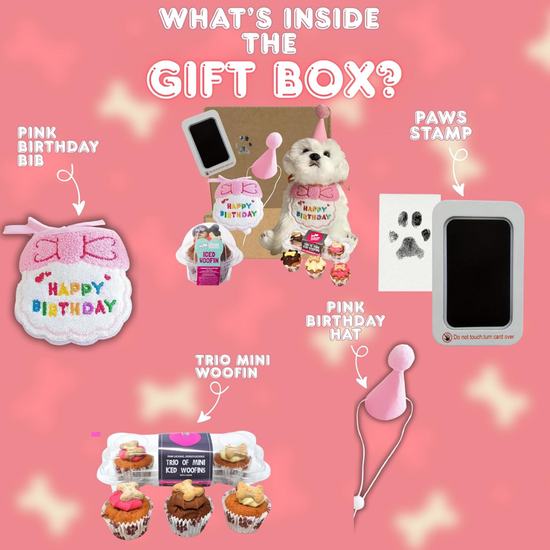 Dog Birthday Hamper Gift Set for Her