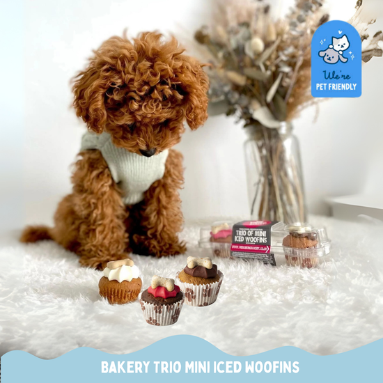 Dog Birthday Treat Hamper for Boys (Blue)