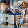 Dog Birthday Hamper Gift Set for Him