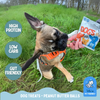 Dog Birthday Treat Hamper for Boys (Blue)