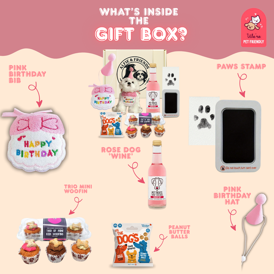 Dog Birthday Treat Hamper for Girls (Pink)